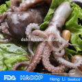Good quality whole cleaned baby octopus
